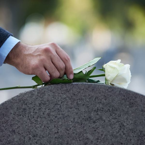 laying rose on gravestone